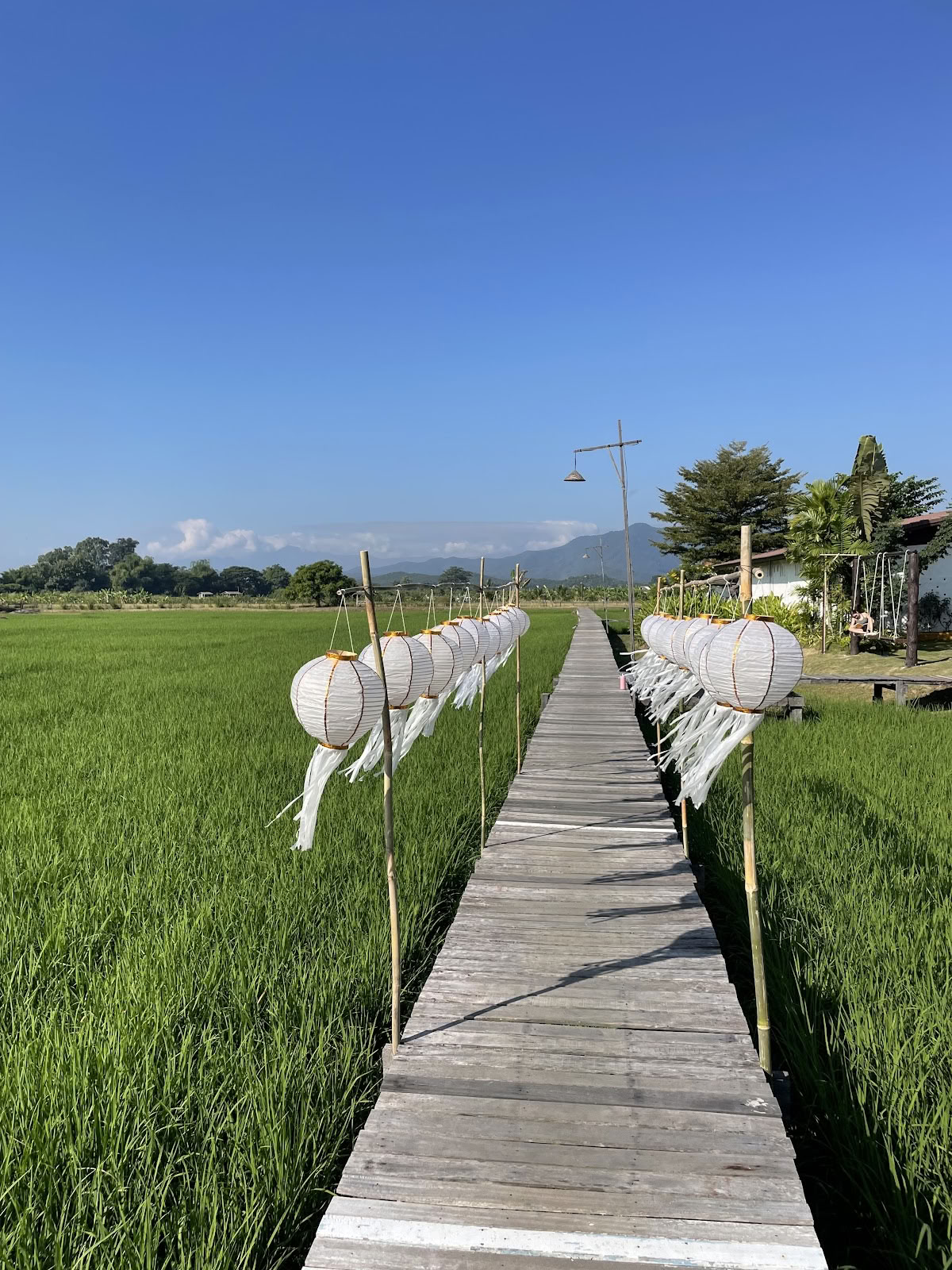 Suan Sati Yoga-retreatcenter
