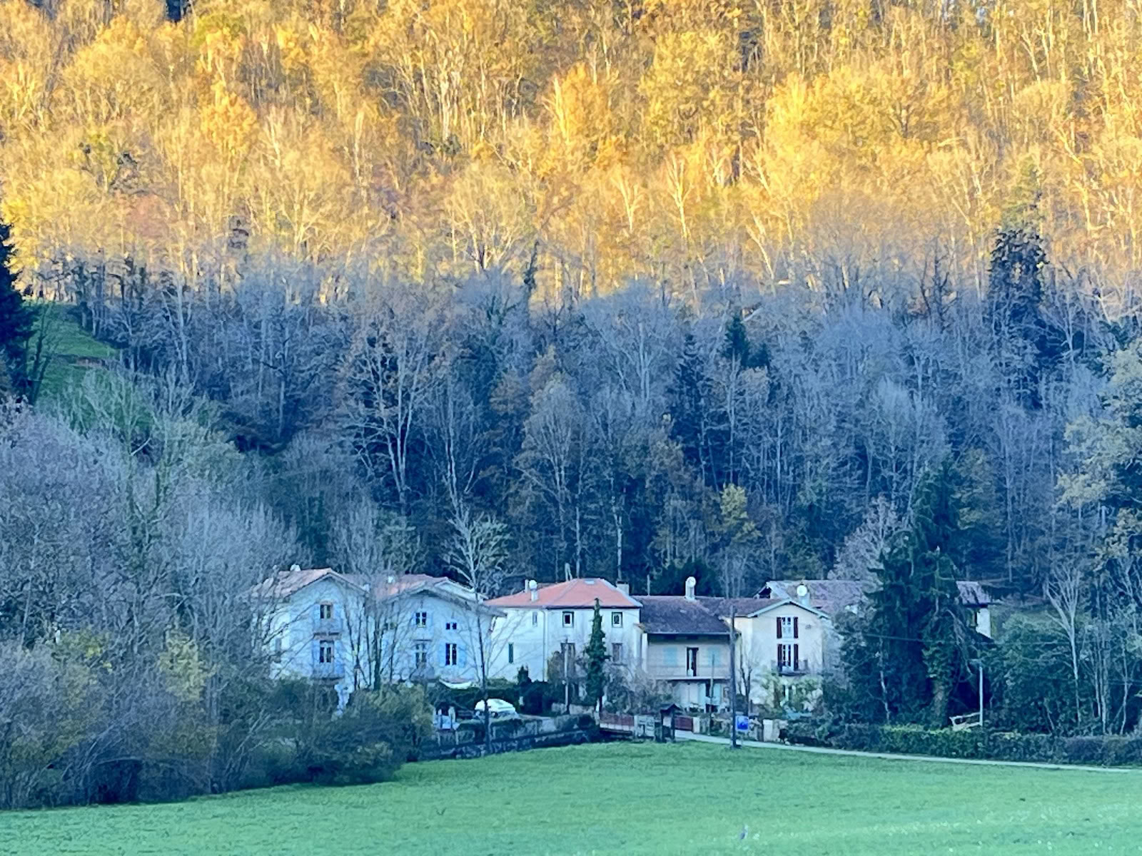 Viveka Center for Væren