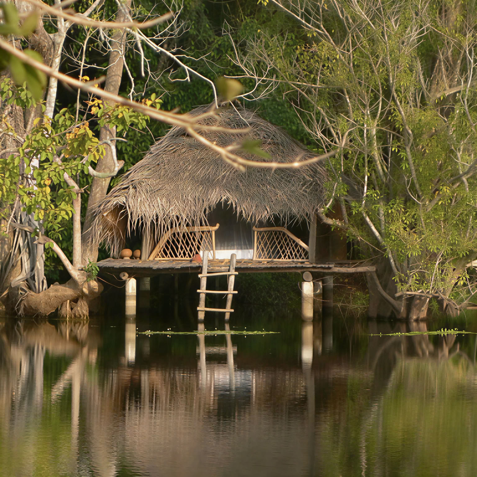 Ulpotha Yoga- og Ayurveda-retreat