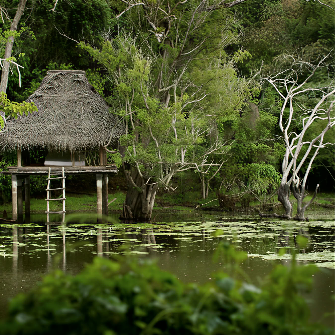 Ulpotha Yoga- og Ayurveda-retreat