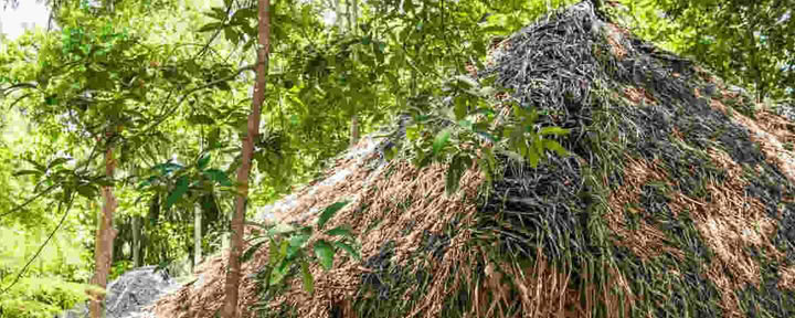 Ulpotha Yoga- og Ayurveda-retreat