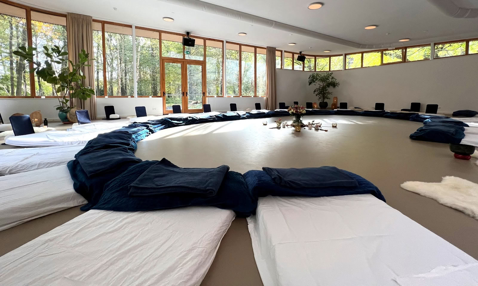 ANIMA HEALING INSTITUTE