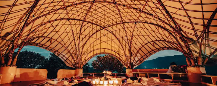 ANIMA HEALING INSTITUTE