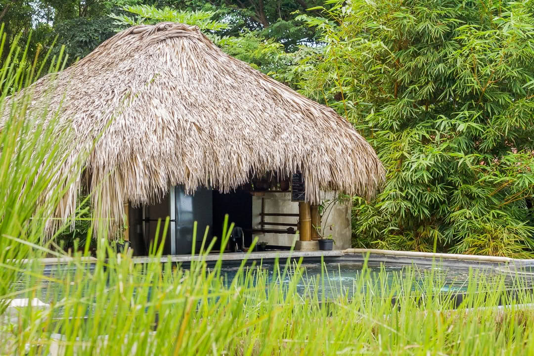 Santosha Surf Sanctuary & Wellness