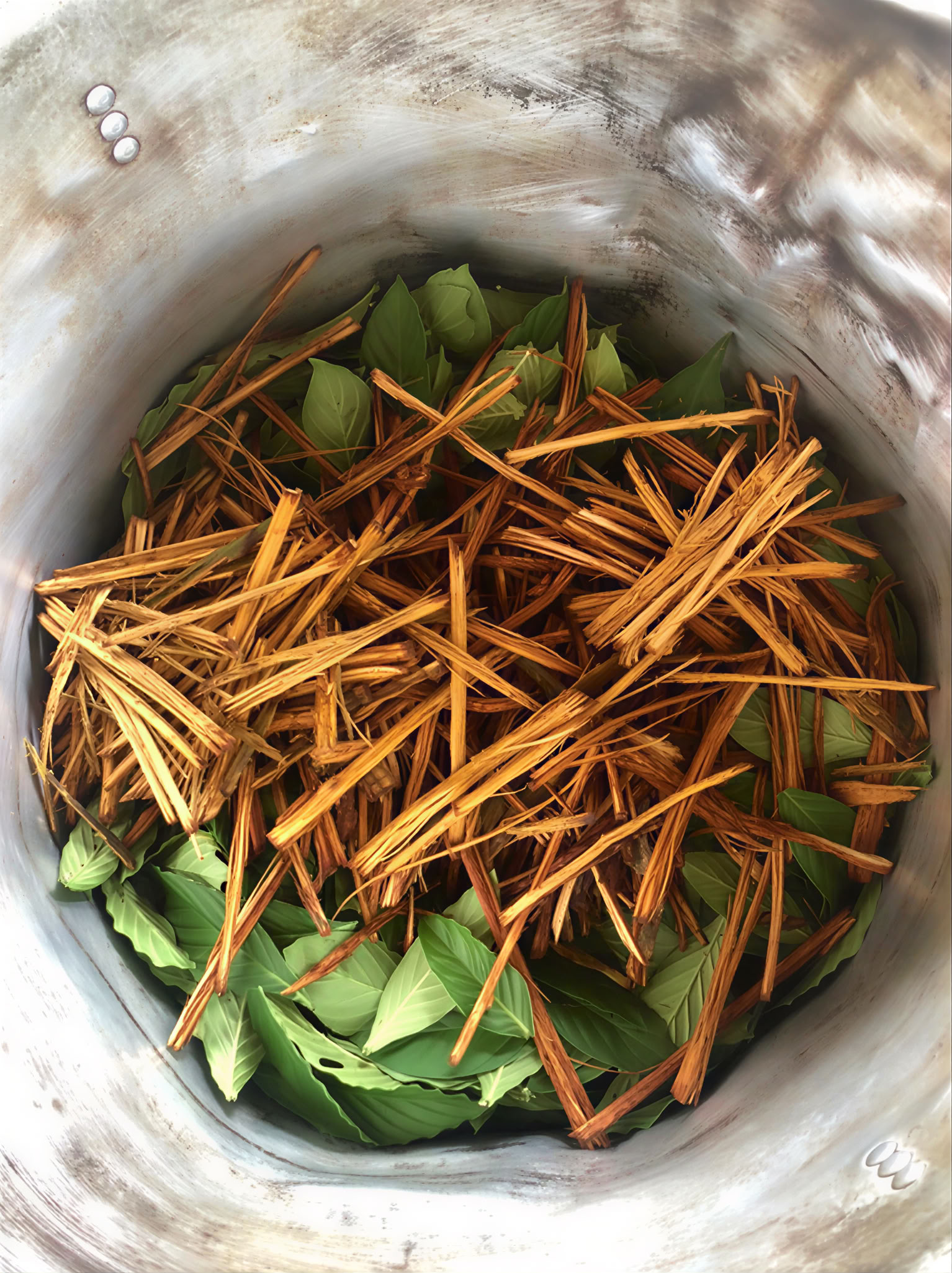 Isayaka Ayahuasca-healing