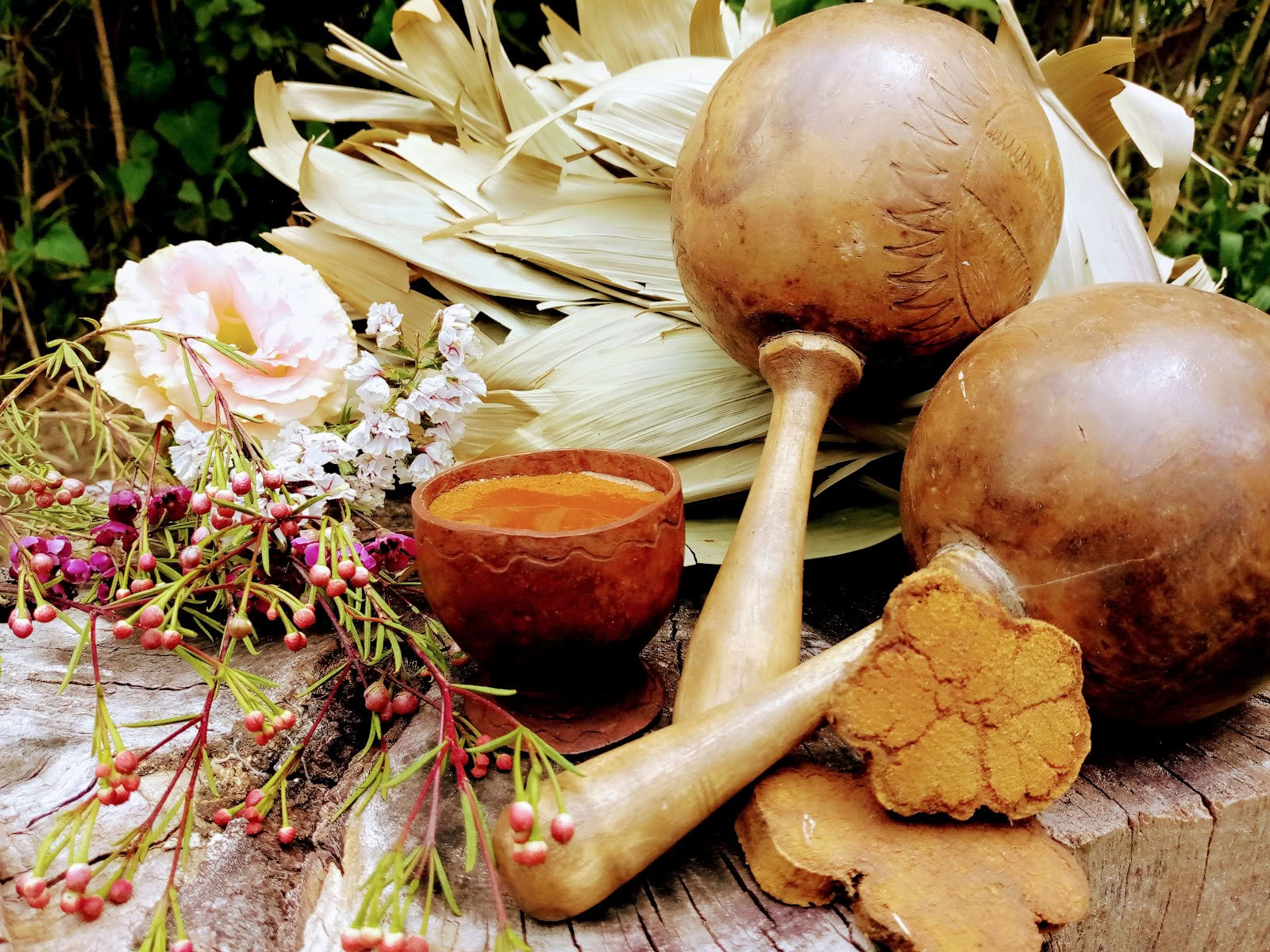 Solhealing - Ayahuasca-ceremoni