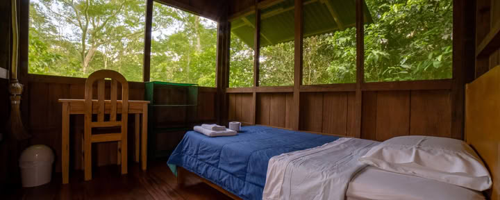Room 11