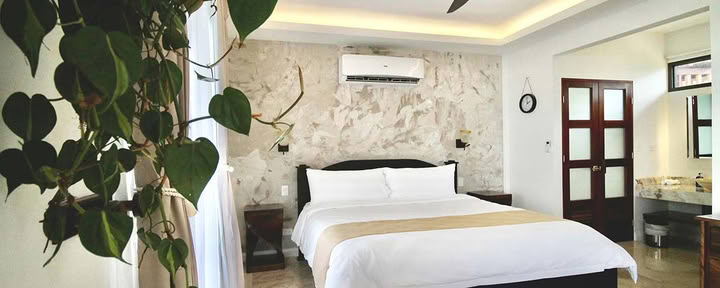 Canopy-suite