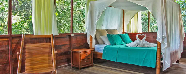 Queen Bed Jungle Suite